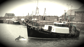 Maryport Sailing Ships